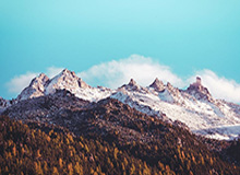 九游体育官方注册-体育视频直播的魅力：让每一场赛况触手可及